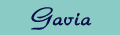 Gavia